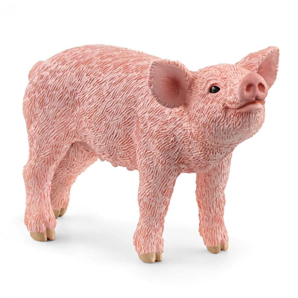 Piglet 13934