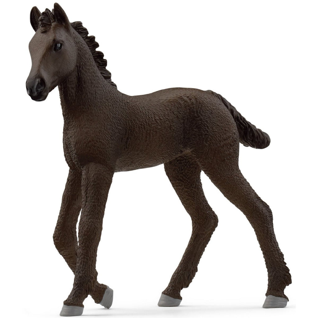 Friesian Foal 13977
