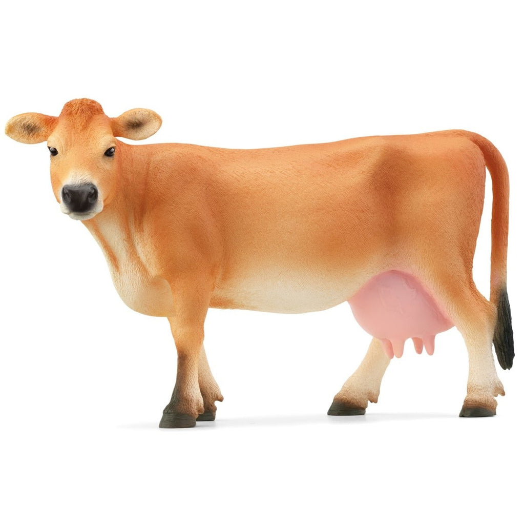 Jersey Cow 13967