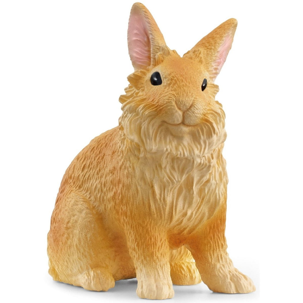 Lionhead Rabbit 13974