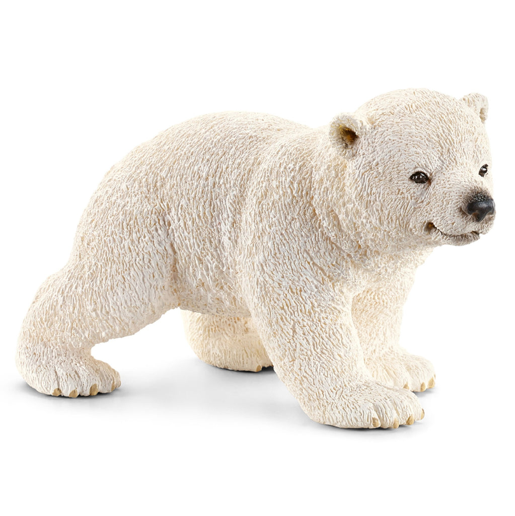 Polar Bear Cub Walking 14708 Nc