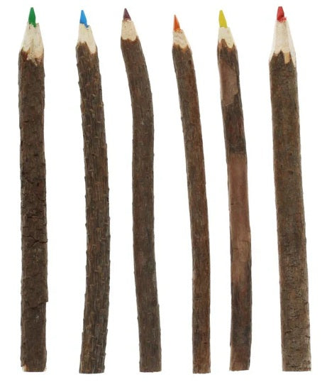 Rex Twig Colouring Pencils