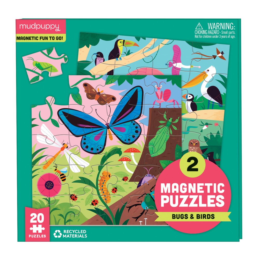 Magnetic Puzzle Bugs & Birds