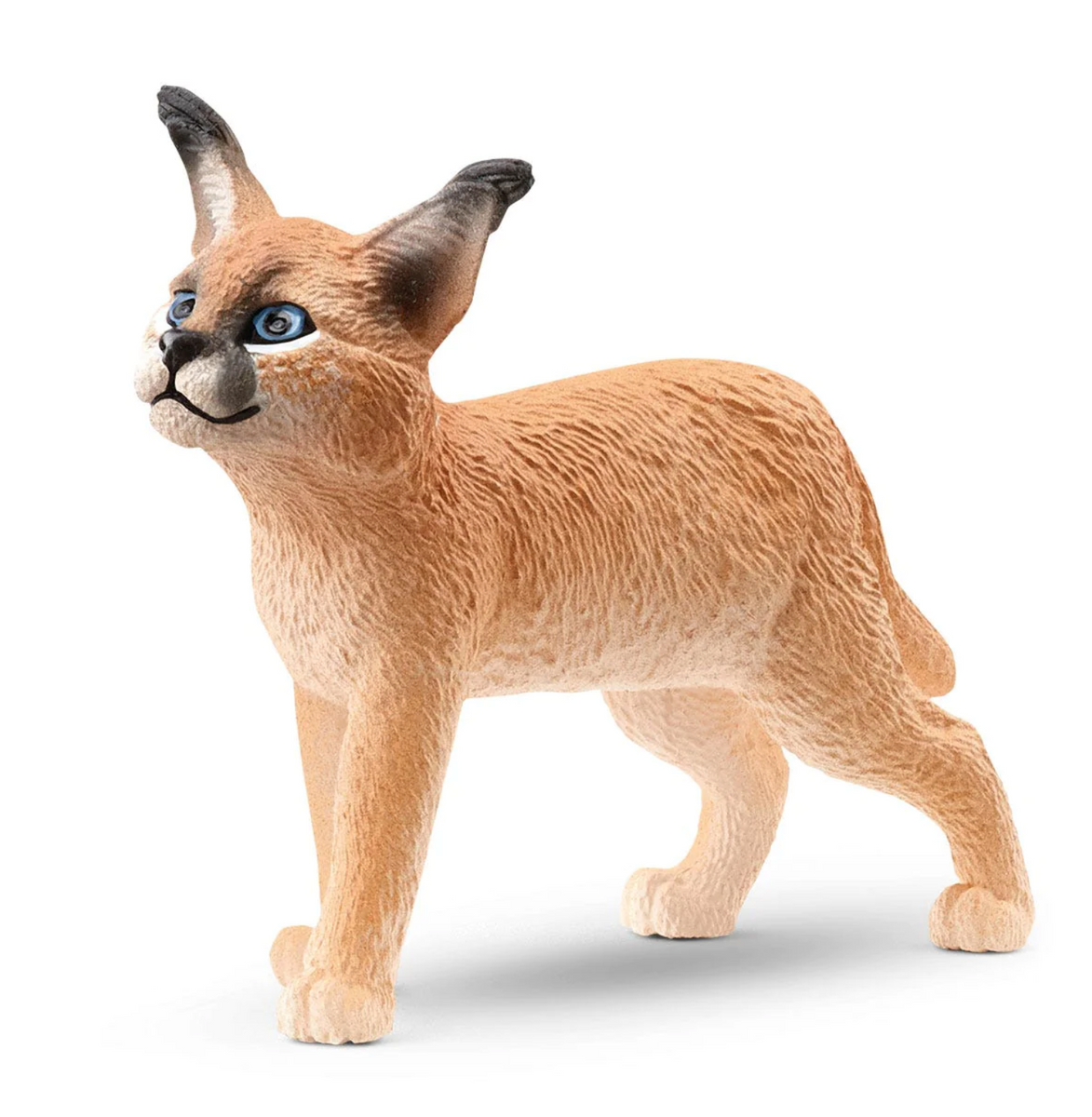 Dizzy Rascal Baby Photo Caracal Baby 14868 – Dizzy Toys